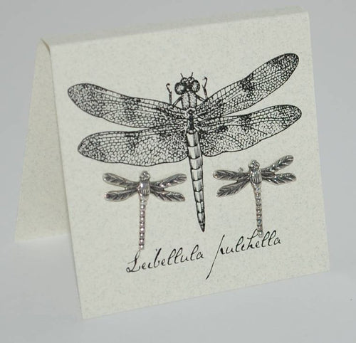 Dragonfly  Stud Earrings - sterling Natural History